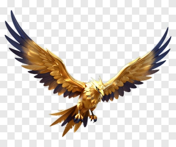 Golden Eagle In Flight PNG