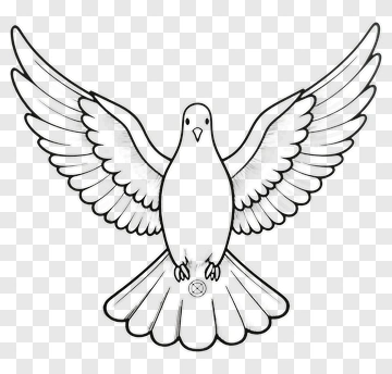 Dove With Outstretched Wings PNG