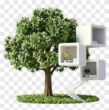 Tree With Modern Treehouse PNG