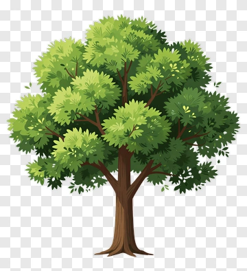 Cartoon Tree PNG