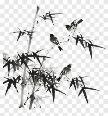 Birds Perched On Bamboo PNG