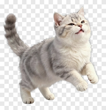 Fluffy Gray Cat Mid Leap PNG