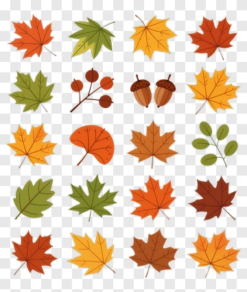 Autumn Leaves And Acorns Collection PNG