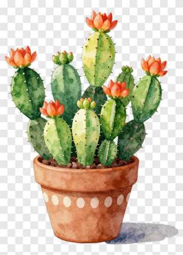Cactus With Orange Flowers In Pot PNG