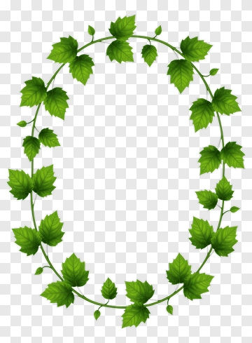 Green Vine Frame PNG