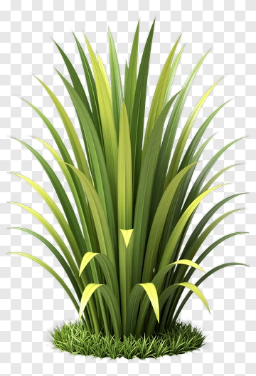 Tall Green And Yellow Plant PNG
