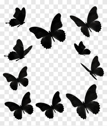Black Butterfly Silhouettes PNG