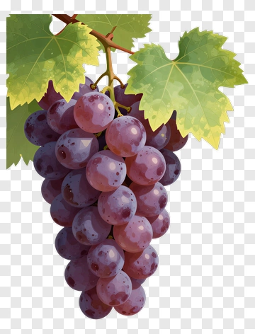 Cluster Of Purple Grapes With Green Leaves PNG