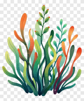 Vibrant Seaweed Illustration PNG