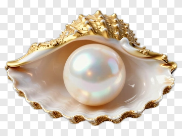 Pearl In A Gold-Edged Shell PNG