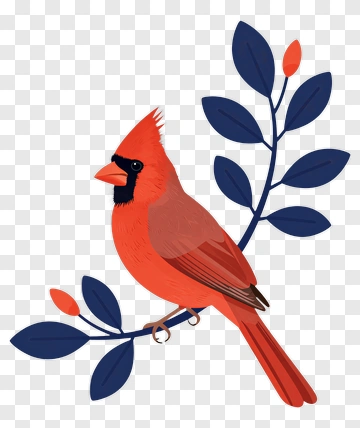 Red Cardinal On Branch With Leaves PNG