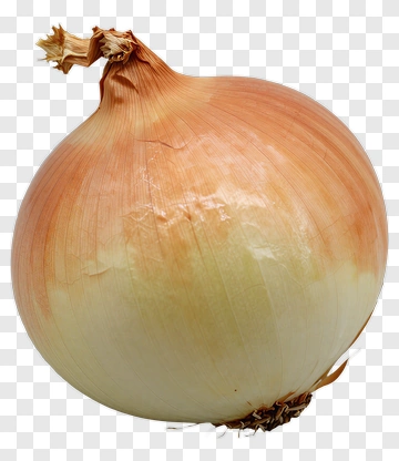 Fresh Onion With Layered Skin PNG