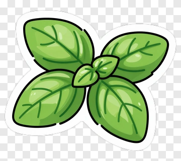 Basil Leaf PNG