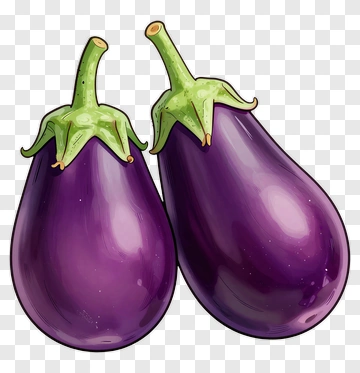 Two Eggplants PNG