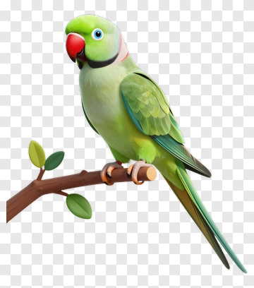 Green Parrot Perched On Branch PNG