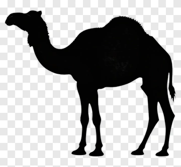 Black Camel Silhouette PNG