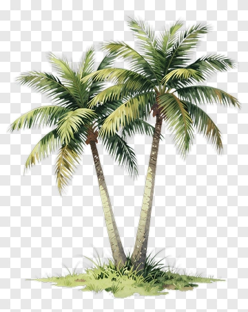 Two Palm Trees In Tropical Setting PNG