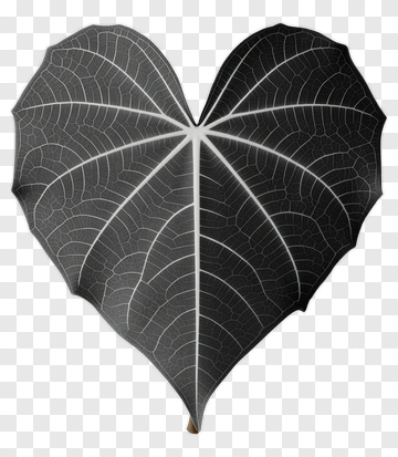 Heart-Shaped Leaf PNG