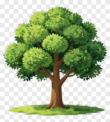 Cartoon Tree With Full Canopy PNG