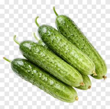 Fresh Green Cucumber PNG