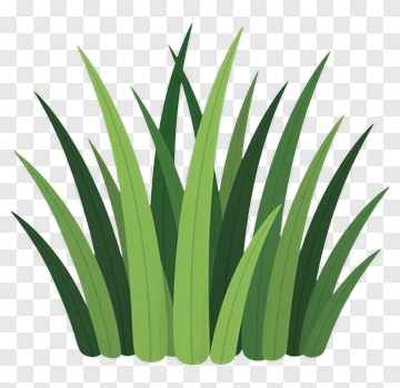 Green Grass Cluster PNG