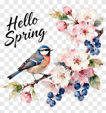 Hello Spring Bird And Blossoms PNG