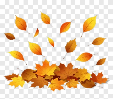 Falling Autumn Leaves PNG