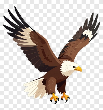 Bald Eagle In Flight PNG