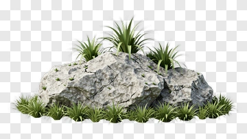Rock With Grass PNG