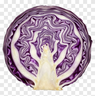 Sliced Purple Cabbage PNG
