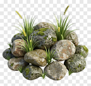 Rocks With Moss And Grass PNG