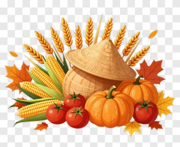 Autumn Harvest With Corn Pumpkins And Wheat PNG