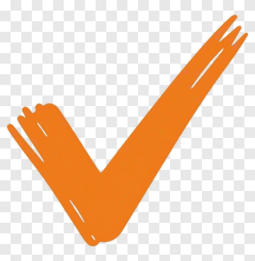 Orange Hand Drawn Checkmark PNG