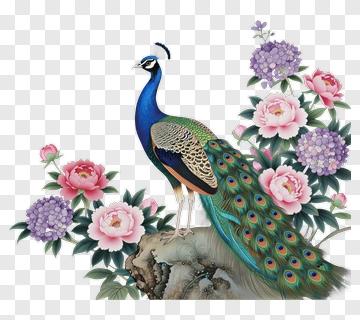 Peacock Among Blooming Flowers PNG