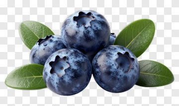 Fresh Blueberries With Green Leaves PNG