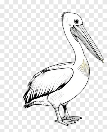 Pelican PNG