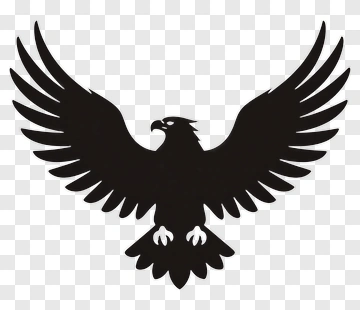 Eagle Silhouette PNG
