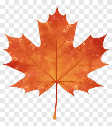 Maple Leaf PNG