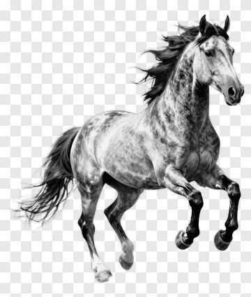 Running Horse PNG