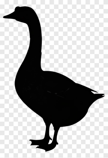 Black Duck Silhouette PNG