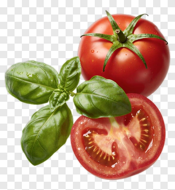 Tomato And Basil PNG