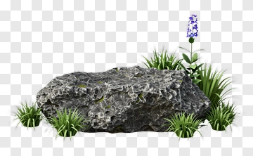 Rock With Grass And Blue Flower PNG