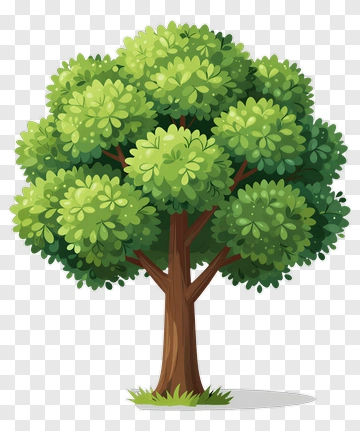 Cartoon Tree With Full Canopy PNG