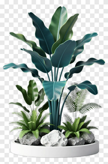 Tropical Plant Arrangement With Ferns And Rocks PNG