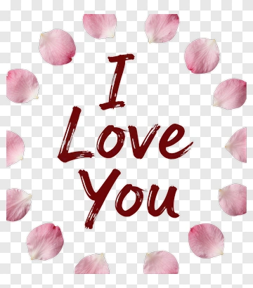 I Love You Message With Rose Petals PNG