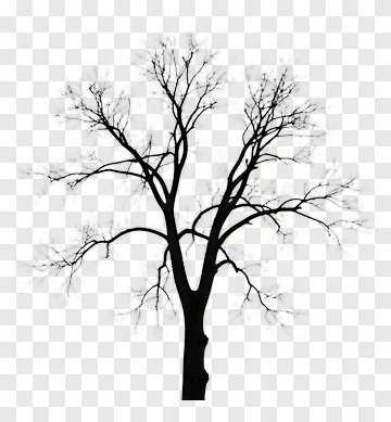 Silhouette Of A Bare Tree PNG