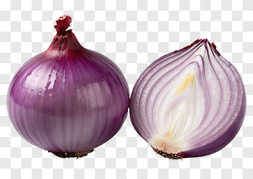 Purple Onion PNG