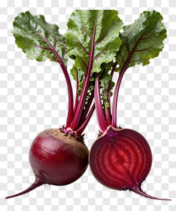 Fresh Beetroot With Leaf And Stem PNG