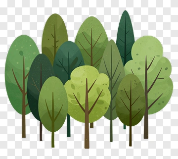 Forest Of Stylized Trees PNG