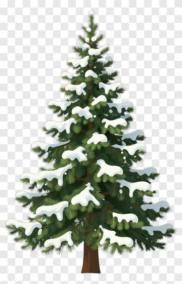 Snow Covered Pine Tree PNG